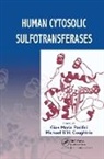 Gian Maria (Universita DI Pisa Pacifici, Gian Maria Coughtrie Pacifici, Michael W. H. Coughtrie, Coughtrie Michael W. H., Gian Maria Pacifici, Pacifici Gian Maria - Human Cytosolic Sulfotransferases