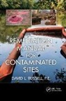 David L Russell, David L. Russell, David L. (Global Environmental Operations Russell, Russell David L. - Remediation Manual for Contaminated Sites