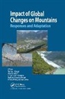 Velma I. (York University Grover, Velma I. Borsdorf Grover, Axel Borsdorf, Borsdorf Axel, Jörgen Breuste, Jurgen Breuste... - Impact of Global Changes on Mountains