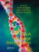 Wolfram Doetsch Siede, Paul W Doetsch, Paul W. Doetsch, Wolfram Siede - Dna Damage Recognition