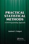 Lakshmi Padgett, Padgett Lakshmi - Practical Statistical Methods