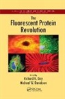 Richard N. Davidson Day, Michael W. Davidson, Davidson Michael W., Richard N. Day, Day Richard N. - Fluorescent Protein Revolution