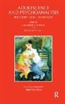 Francois Perret-Catipovic Ladame, Maja Ladame Perret-Catipovic, Francois Ladame, François Ladame, Ladame Francois, Maja Perret-Catipovic... - Adolescence and Psychoanalysis