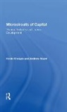 Kevin Morgan, Kevin (University of Wales Morgan, Andrew Sayer - Microcircuits of Capital