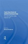 Edward Friedman, Edward (University of Wisconsin Friedman, Friedman Edward, Edward Friedman - Politics of Democratization
