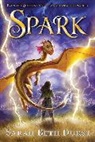 Sarah Beth Durst, Durst Sarah Beth - Spark