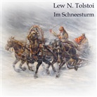 Leo N. Tolstoi, Lew N. Tolstoi, Lew N.                        10002572762 Tolstoi, Jan Koester - Im Schneesturm, Audio-CD, MP3 (Audio book)