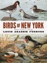 Louis Agassiz Fuertes, Louis Agassiz/ Mccracken Peck Fuertes - Birds of New York