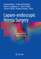 Reinhard Bittner, Pradeep Chowbey, Jr. Fitzgibbons, Robert J. Fitzgibbons, Robe J Fitzgibbons Jr et al, Ferdinan Köckerling... - Laparo-endoscopic Hernia Surgery