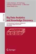 Gabriele Anderst-Kotsis, Gabriele Anderst-Kotsis et al, Ismail Khalil, Carlos Ordonez, Il-Yeo Song, Il-Yeol Song... - Big Data Analytics and Knowledge Discovery