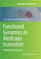 Lui A Cañas, Luis A Cañas, Jose Pio Beltran, José Pío Beltrán, Luis A. Canas, Luis A. Cañas... - Functional Genomics in Medicago truncatula