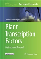 Nobutosh Yamaguchi, Nobutoshi Yamaguchi - Plant Transcription Factors