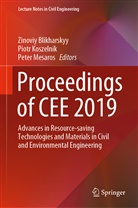 Zinoviy Blikharskyy, Piot Koszelnik, Piotr Koszelnik, Peter Mesaros - Proceedings of CEE 2019