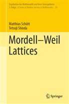 Matthia Schütt, Matthias Schütt, Tetsuji Shioda - Mordell-Weil Lattices