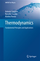 Rossell Faraldo, Rossella Faraldo, Matteo Pierno, Antoni Saggion, Antonio Saggion - Thermodynamics