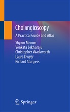 Laura Dwyer, Venkat Lekharaju, Venkata Lekharaju, Ventaka Lekharaju, Shya Menon, Shyam Menon... - Cholangioscopy