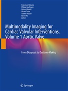 Hatem Alkadhi, Hatem Alkadhi et al, Edwin Ho, Philip Kaufmann, Philipp Kaufmann, Francesco Maisano... - Multimodality Imaging for Cardiac Valvular Interventions, Volume 1 Aortic Valve