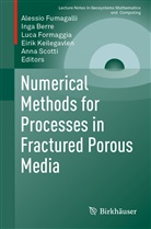 Ing Berre, Inga Berre, Luca Formaggia, Luca Formaggia et al, Alessio Fumagalli, Eirik Keilegavlen... - Numerical Methods for Processes in Fractured Porous Media