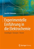 Joachim Dohmann - Experimentelle Einführung in die Elektrochemie