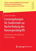 Laura Ostsieker - Lernumgebungen für Studierende zur Nacherfindung des Konvergenzbegriffs