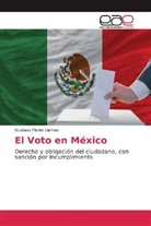 Gustavo Flores Llamas - El Voto en México