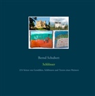 Bernd Schubert - Schlösser