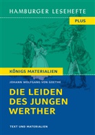 Johann Wolfgang von Goethe - Die Leiden des jungen Werther