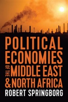 R Springborg, Robert Springborg, Springborg Robert - Political Economies of the Middle East and North Africa