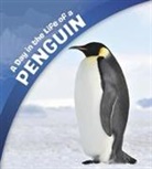 Sharon Katz Cooper, COOPER SHARON KATZ, Sharon Katz Cooper, Sharon Katz-Cooper - A Day in the Life of a Penguin