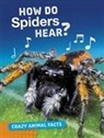 Nancy Furstinger, Furstinger Nancy - How Do Spiders Hear?