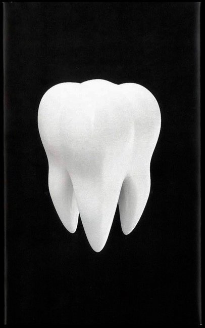 Wolfram Lotz, JÃ¶rn Dege, Jör Dege, Jörn Dege, Zeiske, … - Die Politiker