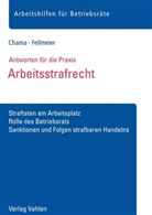 Olive Chama, Oliver Chama, Daniel Feilmeier - Arbeitsstrafrecht