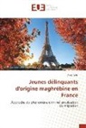 Anas Talbi - Jeunes délinquants d'origine maghrébine en France