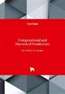 Ja Awrejcewicz, Jan Awrejcewicz - Computational and Numerical Simulations