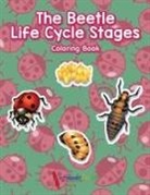 Activibooks For Kids - The Beetle Life Cycle Stages Coloring Book