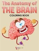 Activibooks For Kids - The Anatomy of the Brain Coloring Book