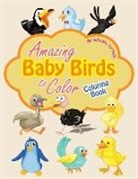 Activibooks For Kids - Amazing Baby Birds to Color Coloring Book