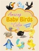 Activibooks For Kids - Amazing Baby Birds to Color Coloring Book