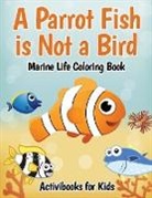 Activibooks For Kids - A Parrot Fish is Not a Bird