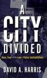 David Harris, David A Harris, David A. Harris - City Divided: Race, Fear and the Law in Police Confrontations