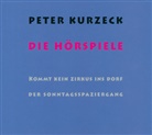 Peter Kurzeck - Die Hörspiele, 3 Audio-CDs (Audio book)