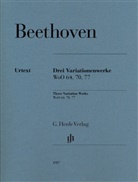 Ludwig van Beethoven, Felix Loy - Ludwig van Beethoven - 3 Variationenwerke WoO 64, 70, 77