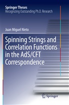 Juan Miguel Nieto - Spinning Strings and Correlation Functions in the AdS/CFT Correspondence