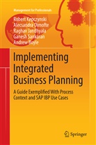 Andrew Boyle, Alecsandr Dimofte, Alecsandra Dimofte, Jandhyala, Raghav Jandhyala, Rober Kepczynski... - Implementing Integrated Business Planning
