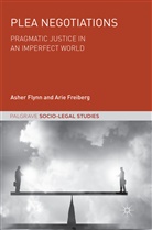 Ashe Flynn, Asher Flynn, Arie Freiberg - Plea Negotiations