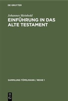 Johannes Meinhold - Einführung in das Alte Testament