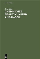 Artur Binz - Chemisches Praktikum für Anfänger