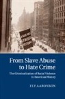 Ely Aaronson, Ely (University of Haifa Aaronson, Aaronson Ely - From Slave Abuse to Hate Crime