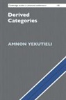 Amnon Yekutieli, Amnon (Ben-Gurion University of the Neg Yekutieli, Amnon (Ben-Gurion University of the Negev Yekutieli, Yekutieli Amnon - Derived Categories