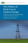 Andreas Goldthau, Andreas (Royal Holloway Goldthau - Politics of Shale Gas in Eastern Europe